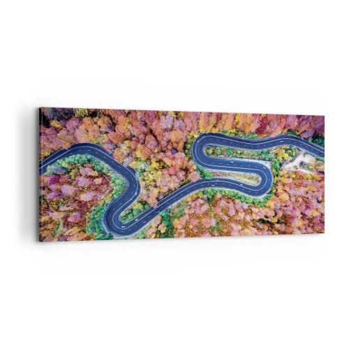 Quadro em tela - Estrada sinuosa pela floresta - 100x40 cm