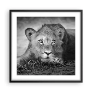 Pôster com moldura preta - Cachorro real - 50x50 cm