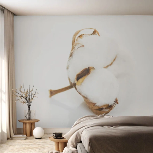 Papel de Parede Standard Eco - Um delicado raminho de algodão sobre um fundo branco - 100x70cm - Suave por natureza - Decoração de parede moderna para a sala de estar e quarto ARTTOR