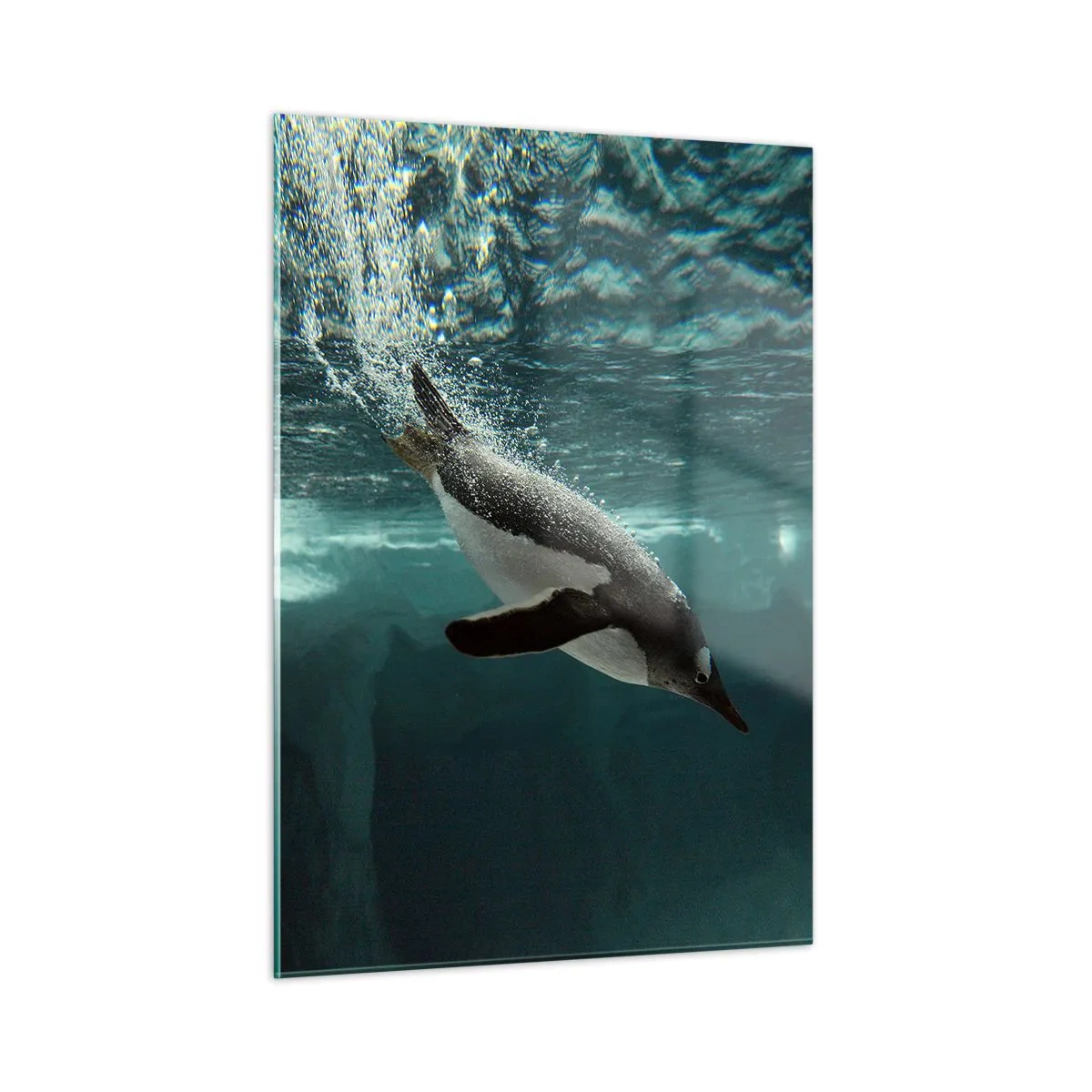 Quadro em vidro - Bem-vindo ao meu mundo - 50x70 cm