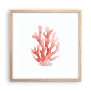 Pôster com moldura de carvalho claro - Coral de cor coral - 40x40 cm