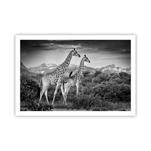 Pôster - Alta Sociedade na África - 91x61 cm