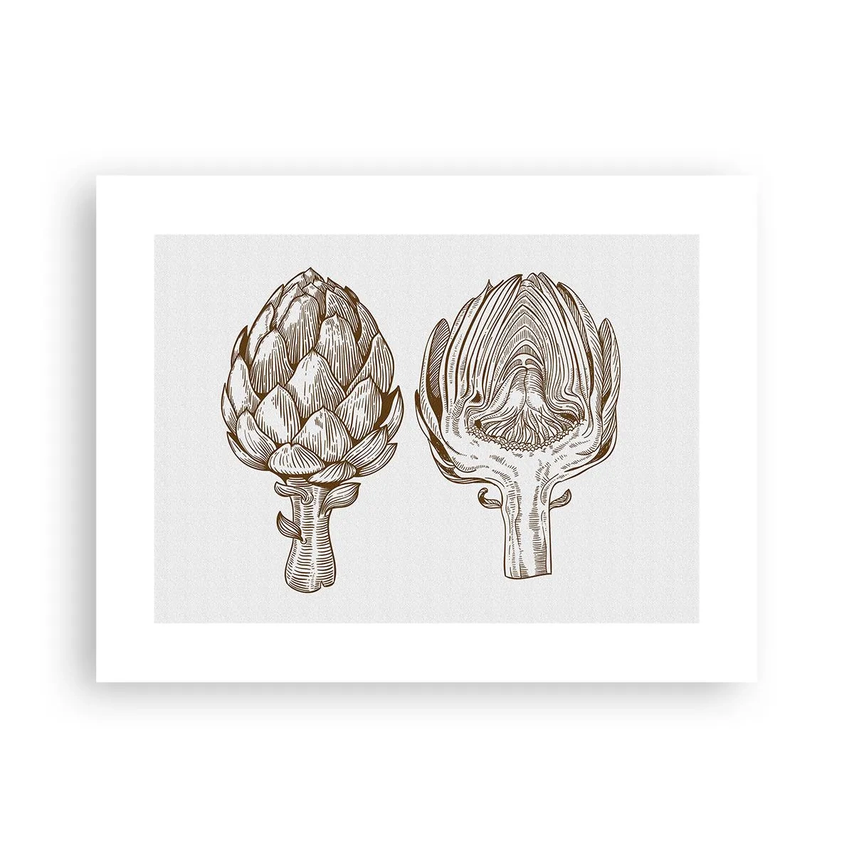 Pôster - Aula de anatomia - 40x30 cm