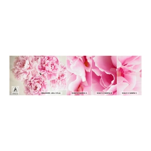 Amostra de papel de parede autocolante Deluxe Sticker - Em esplendor rosa - Peônias, Buquê de flores, Flores - 100x30 cm