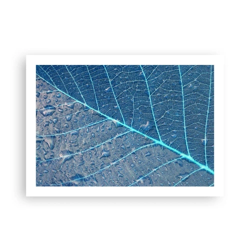 Pôster - A vida em azul - 70x50 cm