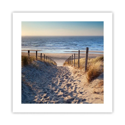 Pôster - O som do mar, o canto dos pássaros, a praia selvagem entre a relva... - 40x40 cm