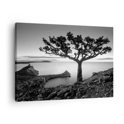 Quadro em tela - Paisagem em preto e branco com uma árvore solitária em um penhasco acima do mar - 70x50cm - Paz até ao horizonte - Decoração de parede moderna para a sala de estar e quarto ARTTOR