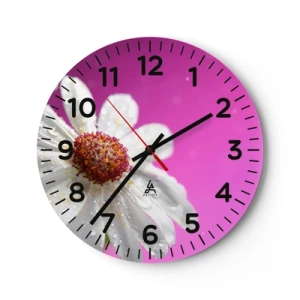 Relógio de parede - Relógio em vidro - Modesto em sua beleza - 40x40 cm