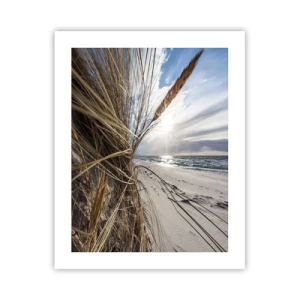 Pôster - Reunião dos rlementos da natureza - 40x50 cm