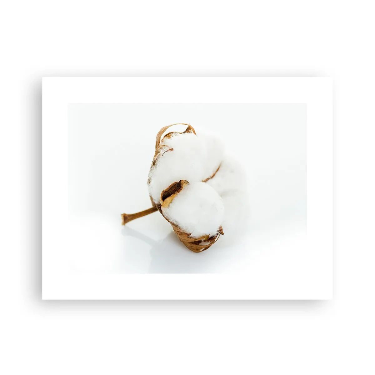 Pôster - Suave por natureza - 40x30 cm