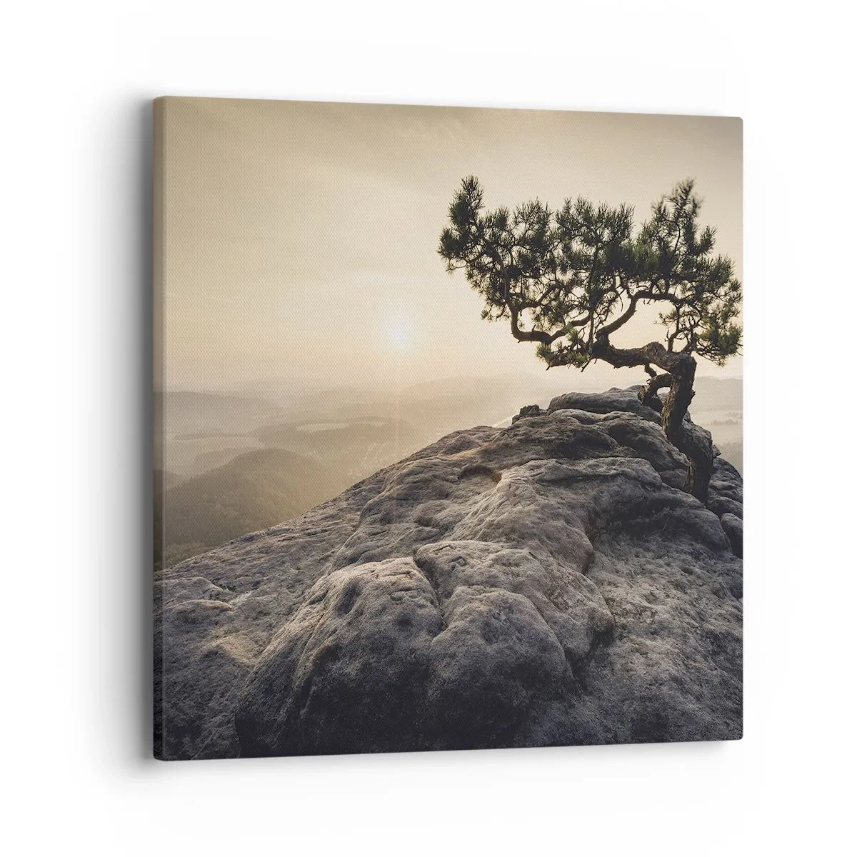 Quadro em tela - A vida ganha sempre - 40x40 cm