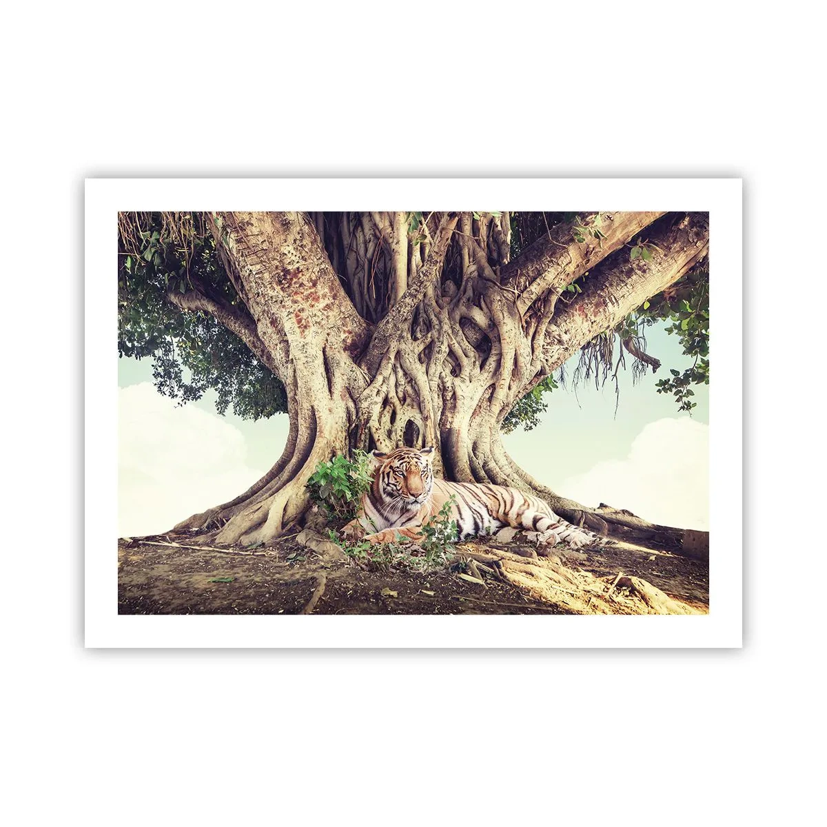 Pôster - Vista do livro de Gênesis - 70x50 cm