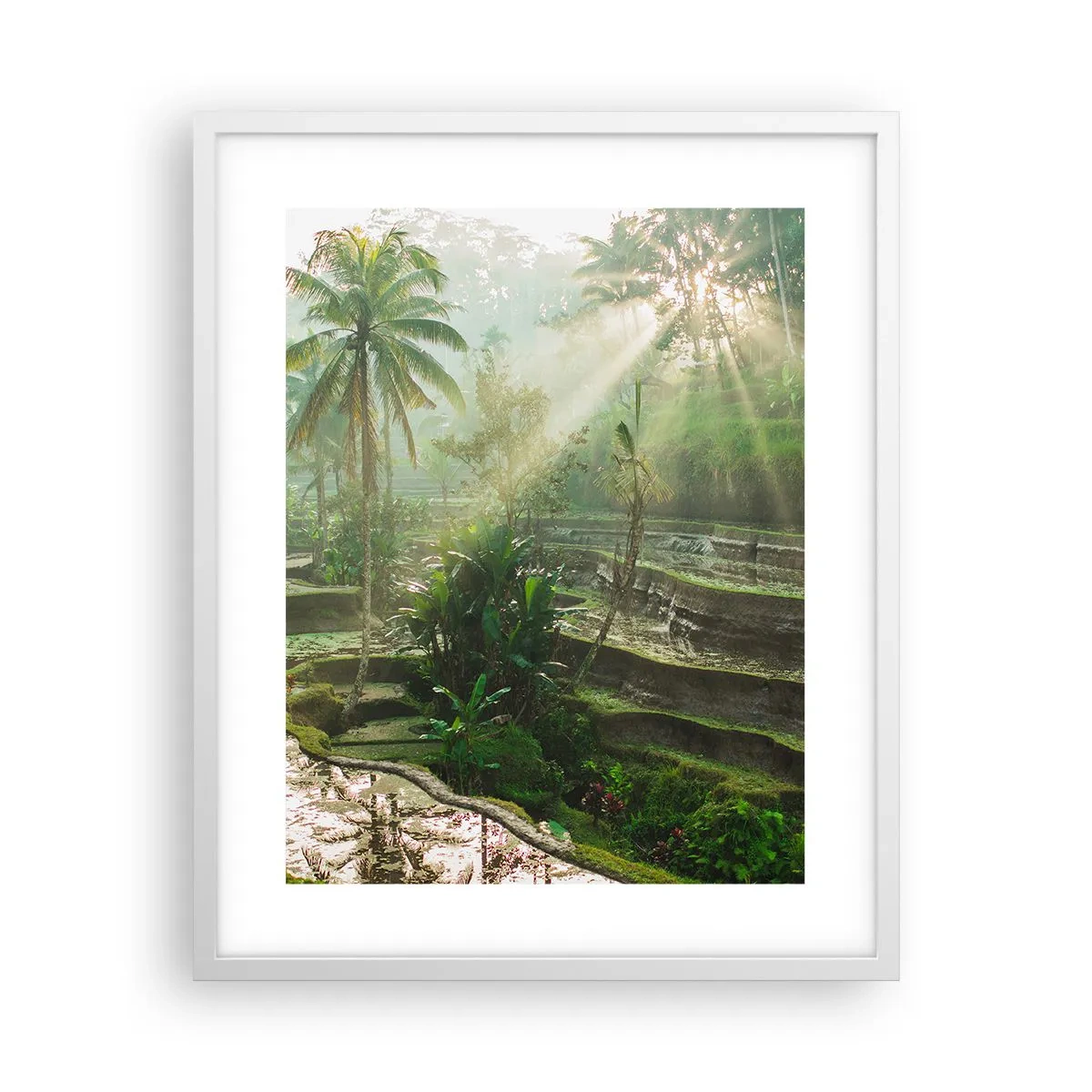 Pôster em moldura branca - Crescer ao sol - 40x50 cm