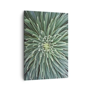 Quadro em tela - Nasce uma estrela - 50x70 cm