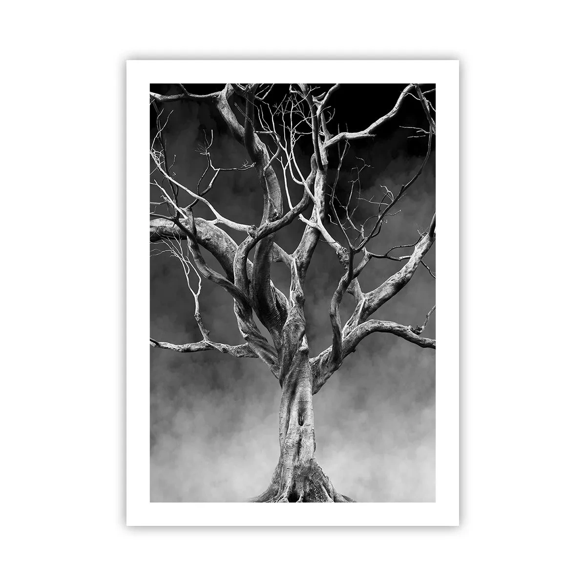 Pôster - Primitivo e sagrado - 50x70 cm