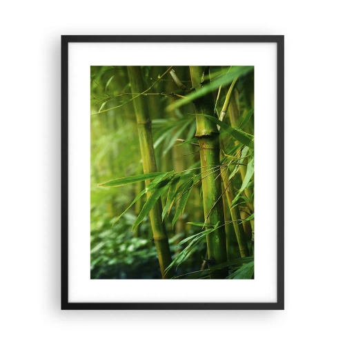 Pôster com moldura preta - Conheça a vegetação  - 40x50 cm