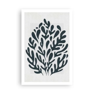 Pôster - Formas da natureza - 61x91 cm