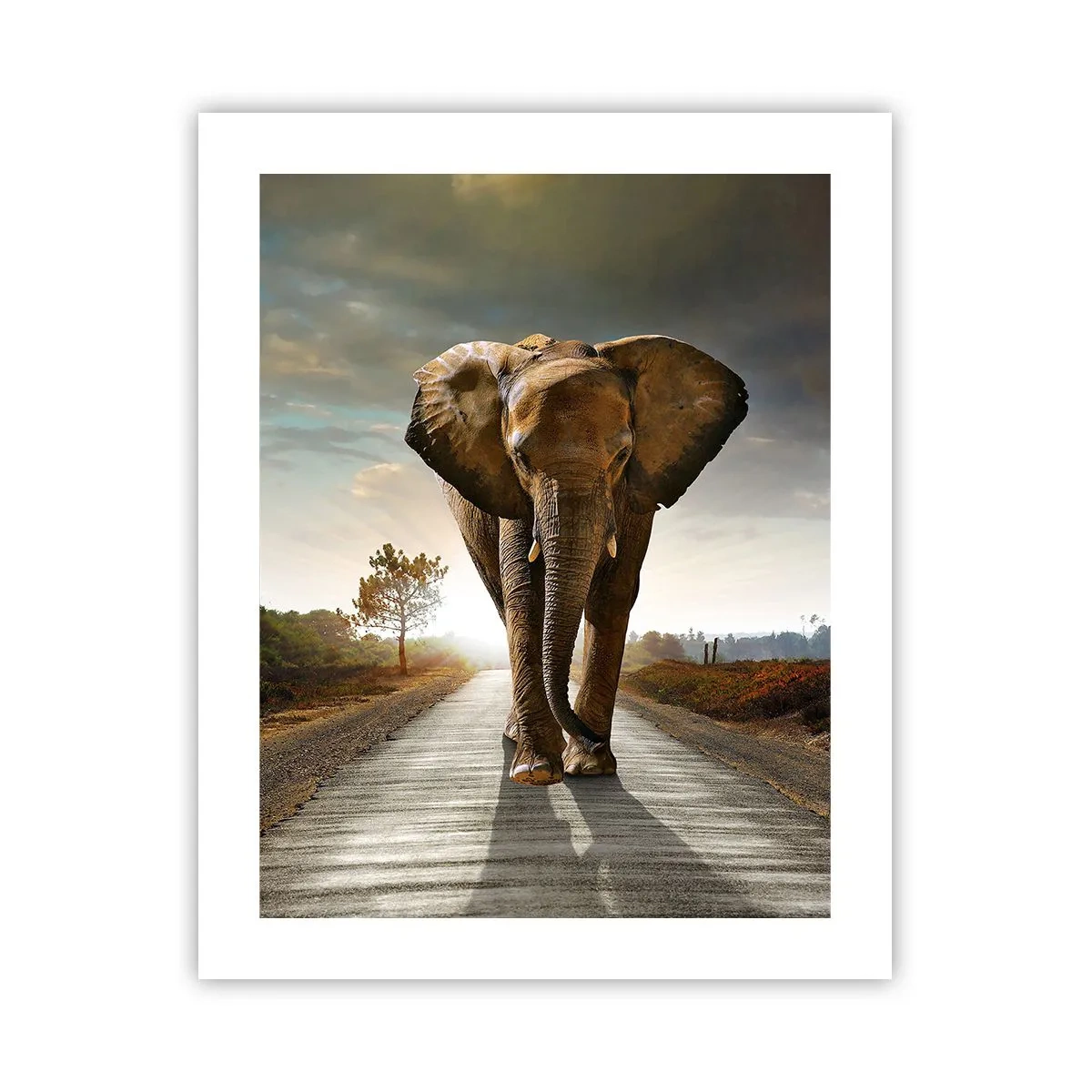 Pôster - Não faz parte da composição da porcela - 40x50 cm