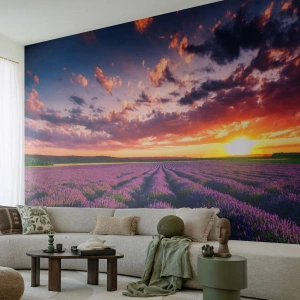 Papel de Parede Premium Canvas - O mundo da lavanda - Paisagem, Campo de Lavanda, Lavanda - 500x350 cm