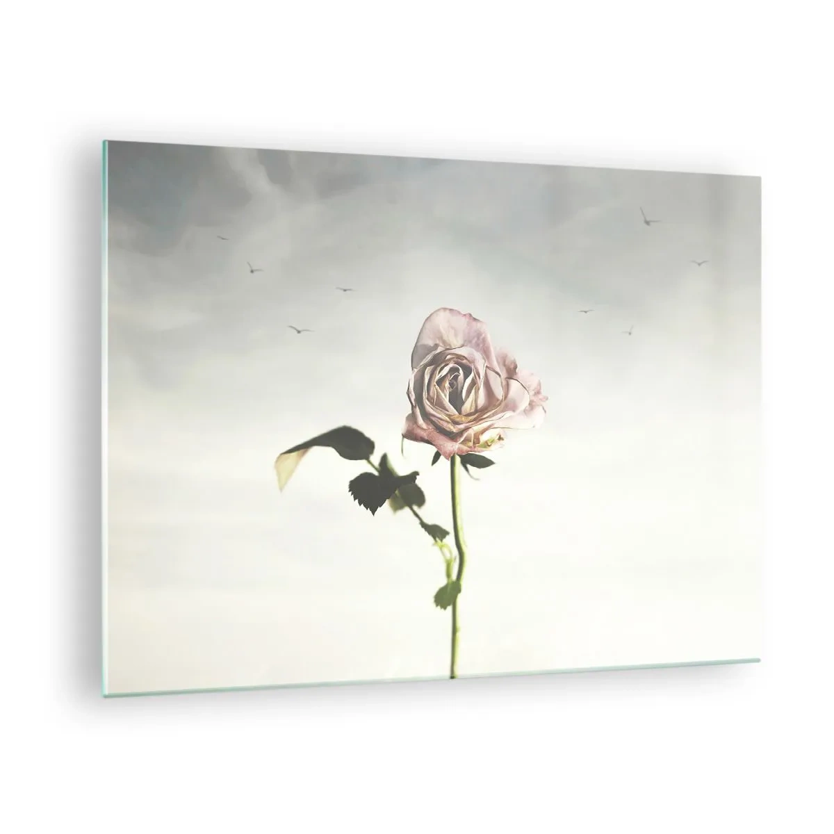 Quadro em vidro - Uma rosa delicada contra o céu com pássaros voando - 70x50cm - Boas-vindas da primavera  - Decoração de parede moderna para a sala de estar e quarto ARTTOR