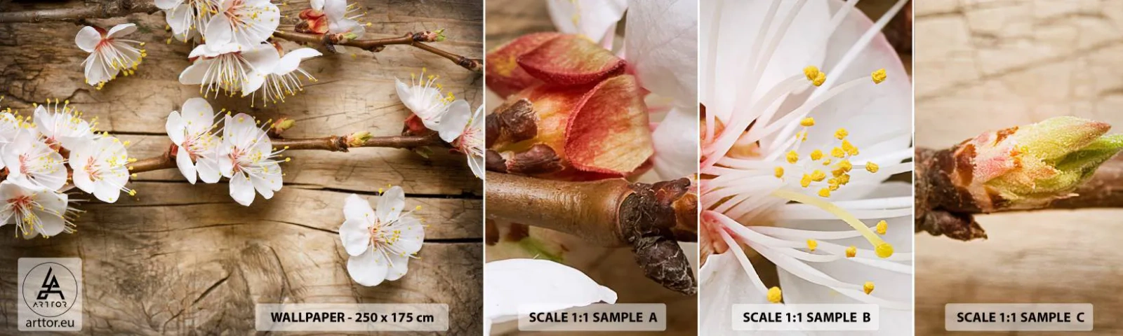 Amostra de papel de parede autocolante Deluxe Sticker - E a primavera chegou - Flores, Galho com flores, Natureza - 100x30 cm