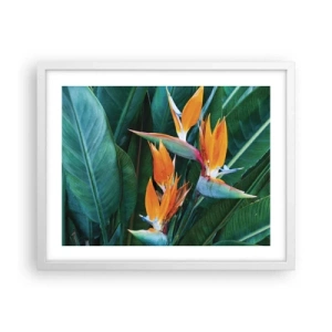 Pôster em moldura branca - É uma flor ou é um pássaro? - 50x40 cm