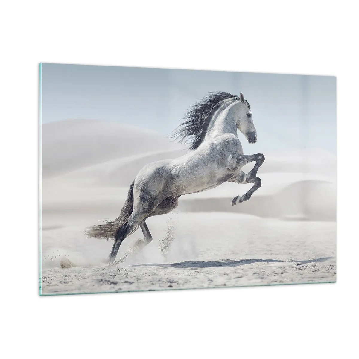 Quadro em vidro - Príncipe árabe - 120x80 cm