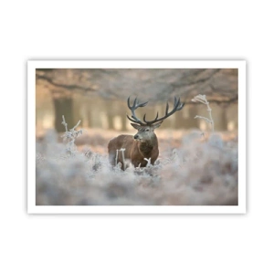 Pôster - Uma manhã fresca - 100x70 cm