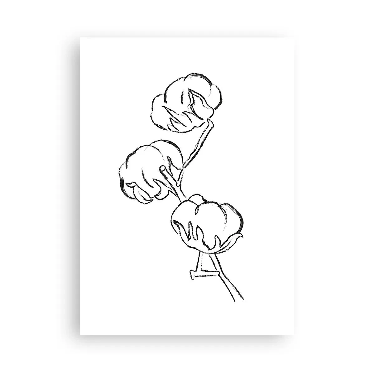 Pôster - Algodão para baixo - 50x70 cm