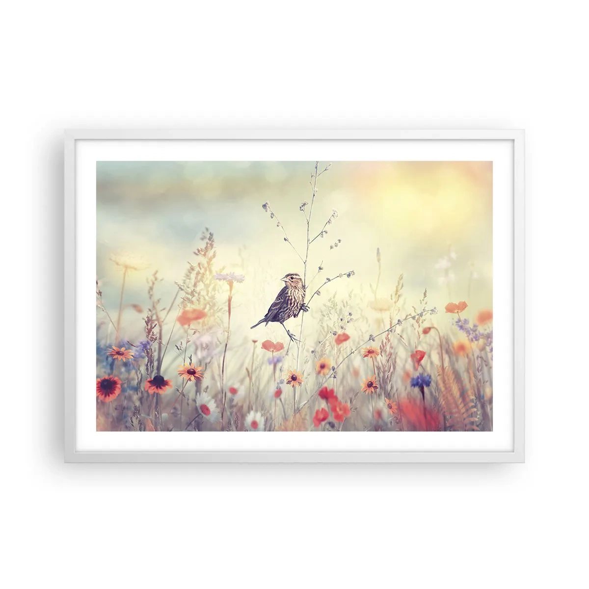 Pôster em moldura branca - Retrato de um pássaro com um prado no fundo - 70x50 cm