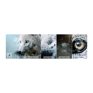 Amostra de Papel de Parede Standard Eco - Conheça a alma do lobo - Animais, Lobo, Predador - 100x30 cm