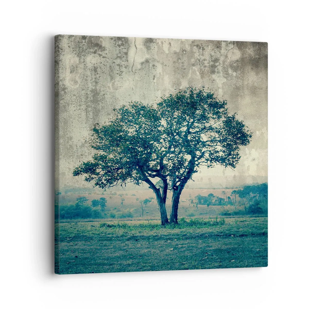 Quadro em tela - Uma macieira num prado azul? - 30x30 cm