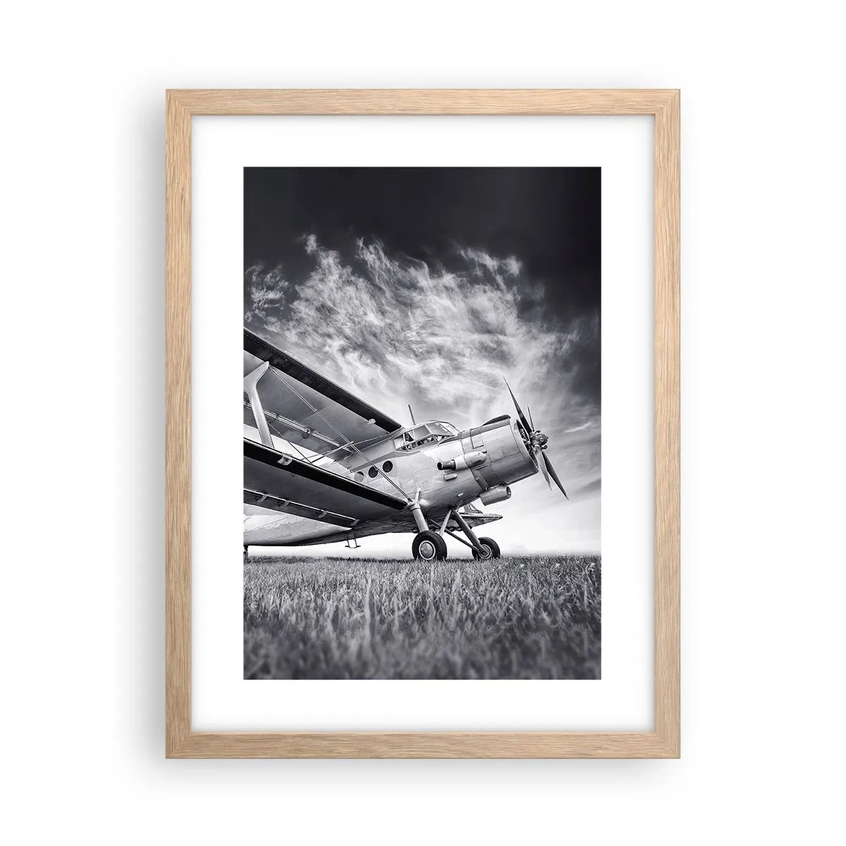 Pôster com moldura de carvalho claro - Andarilho alado - 30x40 cm