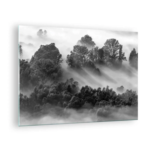 Quadro em vidro - Floresta enevoada sob a luz do sol em preto e branco - 70x50cm - Levantar-se do sono - Decoração de parede moderna para a sala de estar e quarto ARTTOR