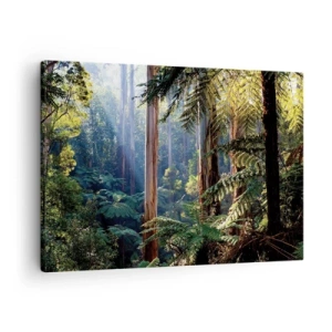 Quadro em tela - Floresta tropical iluminada pelos raios do sol - 70x50cm - Um conto de fadas da floresta - Decoração de parede moderna para a sala de estar e quarto ARTTOR