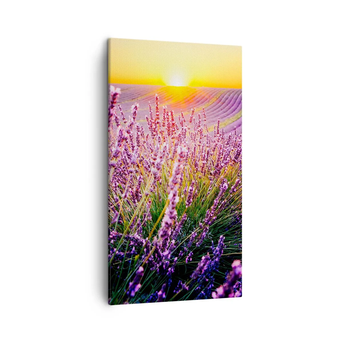 Quadro em tela - Prado perfumado - 45x80 cm