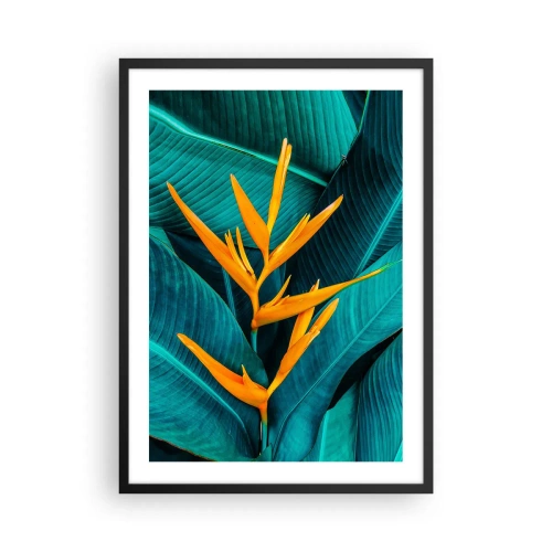 Pôster com moldura preta - Uma flor exótica em um fundo de folhas tropicais verdes. - 50x70cm - Flor do Éden - Decoração de parede moderna para a sala de estar e quarto ARTTOR