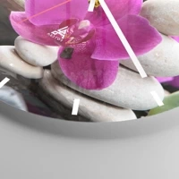 Mostrador com traços