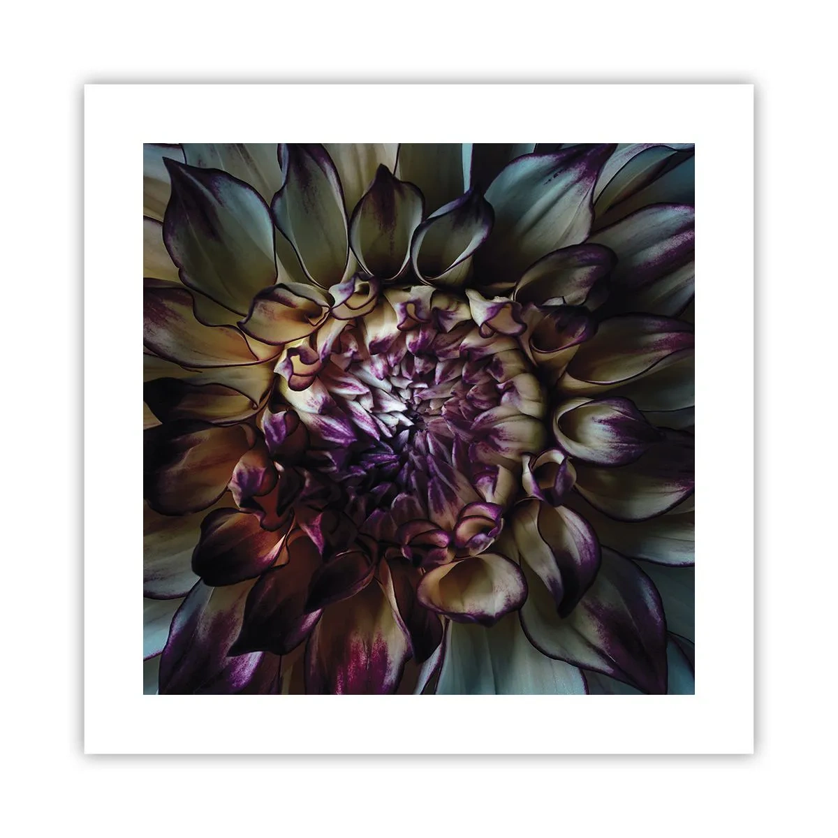 Pôster - O florescimento da juventude - 40x40 cm