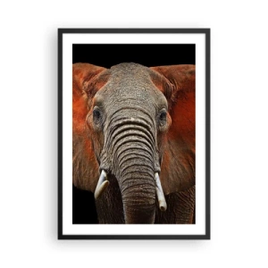Pôster com moldura preta - Retrato de um elefante majestoso contra um fundo preto - 50x70cm - Eu sou selvagem, e você? - Decoração de parede moderna para a sala de estar e quarto ARTTOR