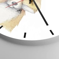 Mostrador com traços