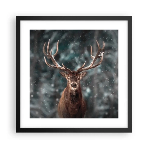 Pôster com moldura preta - O rei coroado da floresta  - 40x40 cm