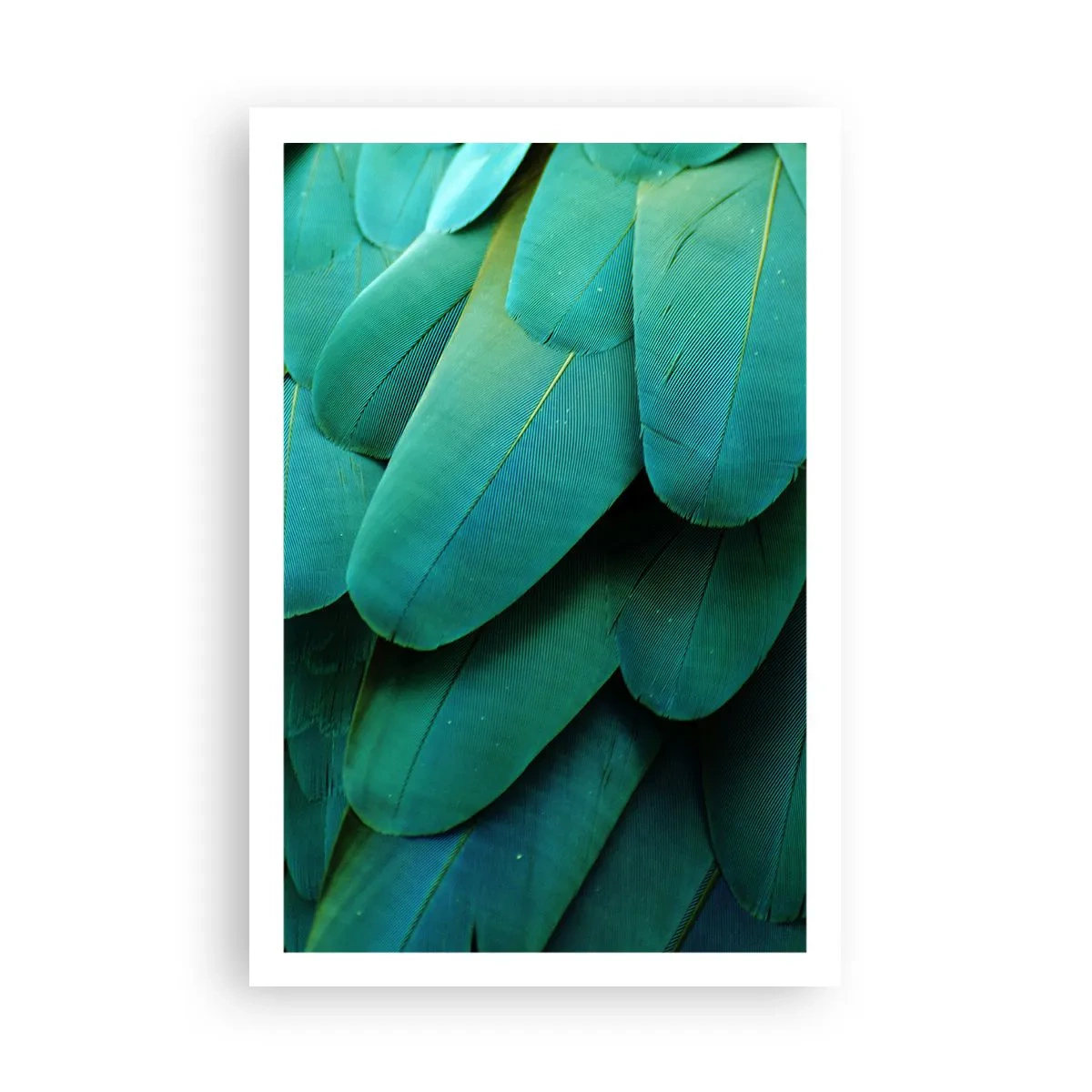 Pôster - Precisão de papagaio - 61x91 cm