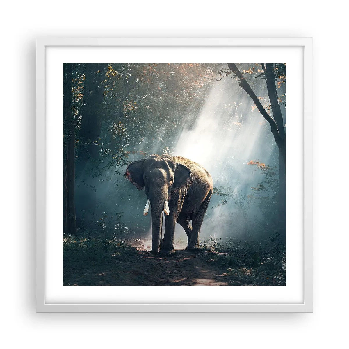 Pôster em moldura branca - Um passeio descontraído - 50x50 cm