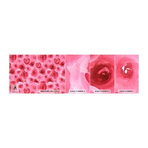 Amostra de papel de parede autocolante Deluxe Sticker - Rosas acima e abaixo - Flores, Beleza, Romantismo - 100x30 cm