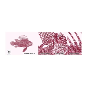 Amostra de papel de parede autocolante Deluxe Sticker - Um habitante de águas exóticas - Peixe, Peixe-Leão, Tropical - 100x30 cm