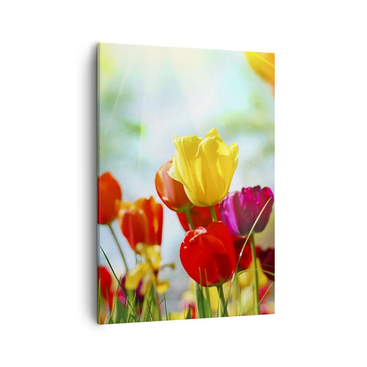 Quadro em tela - Todas as cores do sol - 50x70 cm