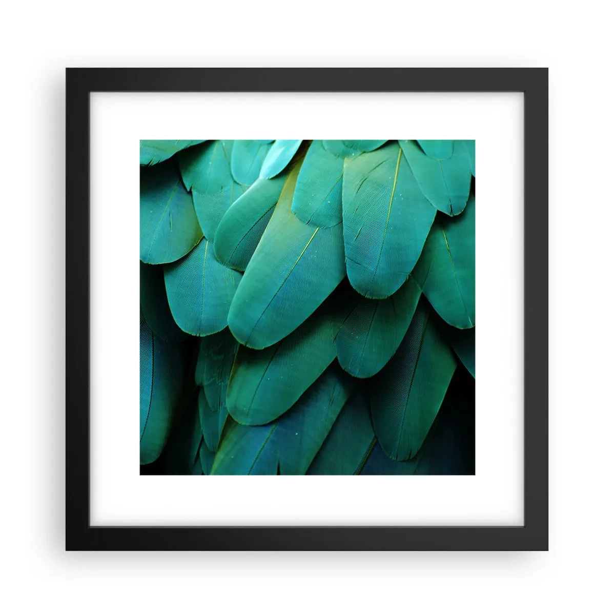Pôster com moldura preta - Precisão de papagaio - 30x30 cm
