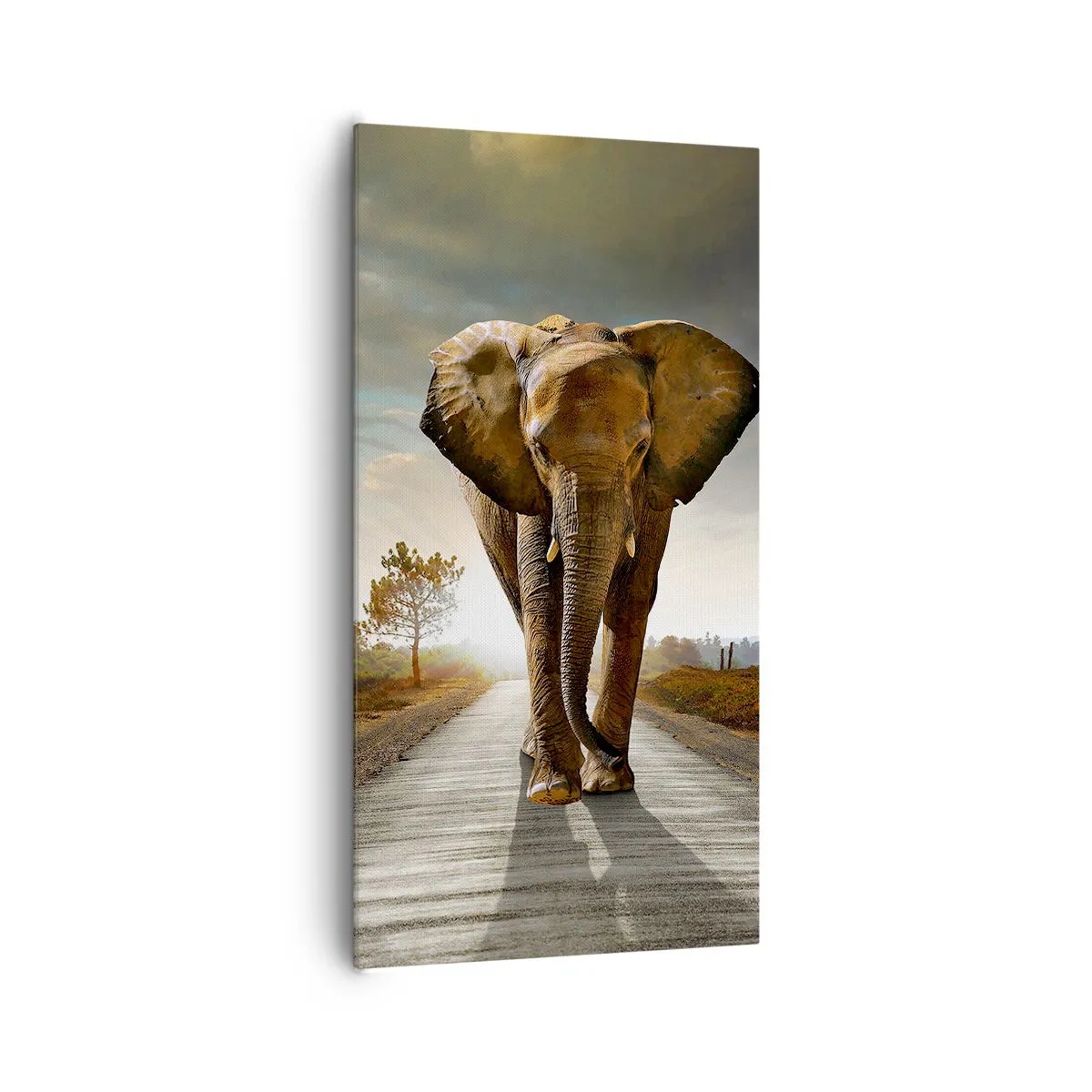 Quadro em tela - Não faz parte da composição da porcela - 65x120 cm