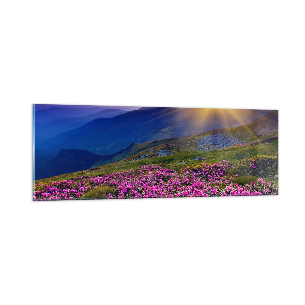 Quadro em vidro - …Cheiro de pinheiros e ervas da montanha - 90x30 cm
